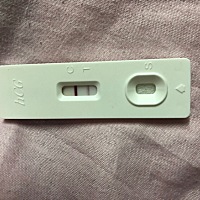 晚上下班回家测了一根，这是怀上了吗，有点不敢相信