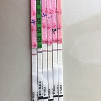 今天是排卵第十三天，连续测了四天zzy，最近一直都是腹部疼，胸疼，像要来大姨妈，今天早上又测了一次，...