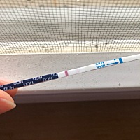 第一次测到这么明显的粉印，应该是有好孕了吧！希望明天一早测能加深！！