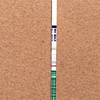 这是怀孕还是没怀孕 s