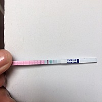 还有6天就是姨妈日，早孕试纸白板，排卵试纸这样怀孕还有希望吗，现在也感冒了，好难受真想找点药吃