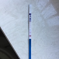 早上测出两条杠，不知道是不是有了？肚子这几天偶尔抽痛。一直以为是大姨妈前兆？是不是有问题了