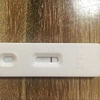 下午忍不住又测了一个、杠不深、这是怀孕了么、今天我们同房第13天