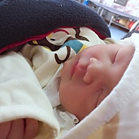 9月10号顺产男宝一枚，下午2点半进产房，3点53分出生，虽然过程特别痛，不过看到你的那一刻，感觉什么都...