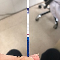 这是怀孕了吗？