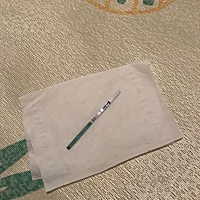 排卵日后的第十天，今天晚上10.30左右测的，是不是传说的意念灰，懂的小姐姐帮我看看给点意见😄