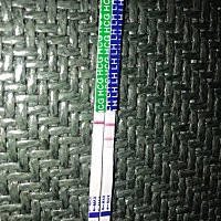 上次咋胡了，还有3天姨妈日了，排卵试纸两条扛，早孕试纸白板