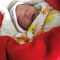 四十周零一天，早上四点多开始有规律宫缩十多分钟一次，七点多上医院八点多就生了，顺产，无撕裂侧切，...