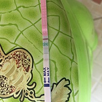 平时月经不规律，这次月经推后了10天。今天早上拿了测排卵试纸测的。不知道，测排卵试纸准不准。姐妹们...