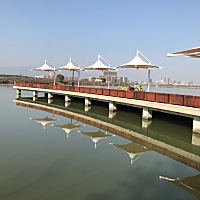 一个人带孩子，都没空抱她，她也习惯一个人玩了，饿了吃手，吃饱了自己玩，玩累了睡觉，看着都心酸才两...