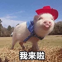 安全区来了，还有一个星期，就看这个月大姨妈来不来了，上帝保佑