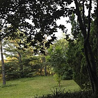 备孕可以吃感冒药吗？有影响吗？