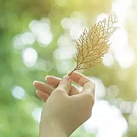 怀孕后的我，吃不下去饭，口味变了，从来不吃的包子，特别想吃，一天饭完全吃不进去，就看喝汤和吃水果...