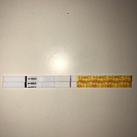 排卵第九天测的，是不是又没希望了