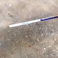 有了。 我想要女儿