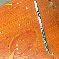 请问这是有了嘛，这个大卫的试纸准不准啊，怕诈胡