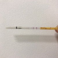 刚测的排卵试纸，是阳性了吗？