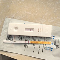 昨天刚过经期1天，自测了下双杠。担心诈和，今天又去了医院验血。医生说只能说怀孕的可能性比较大，要过...