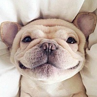 还有6天就到经期了，希望不要来吧，太慢长得6天好难熬阿，