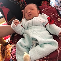 报喜啦，九月十一号中午十一点剖腹产男宝。还有就是要告诉宝妈们，那些什么怀女儿就皮肤好什么的，都不...