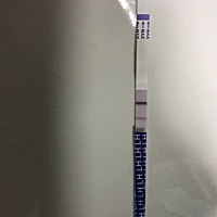 大家帮忙看看，这是什么情况！8月16号月经，早孕试纸测没有怀孕！