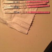 测试两天排卵试纸为什么都是这样的？有用过的吗？第一次用看不懂，每次试都是一样的？