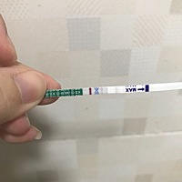 这是不是怀上了？