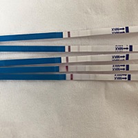 今天月经推迟的第三天，但是一丁点症状都没有……