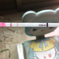 希望不要是炸胡。