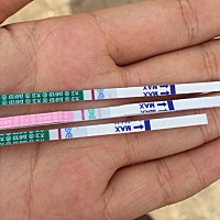 中间是排卵试纸哪两个是早早孕试纸 他们三个放一个袋子里是不是排卵试纸给他染的颜色呀有这个可能吗。那...