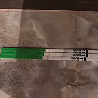 最近三天测的排卵，最下面一个是今天，还是不太懂啊，现在在排卵了吗？需要这几天天天都要同房吗？有经...