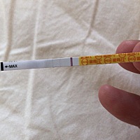 今天测出的意念灰