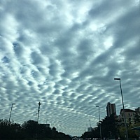 还以为这个月15号不会再来例假的，结果今天18号来了。哎～有点小失望。好烦人。都老大不小了。过来发发...