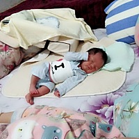 就这样乖乖的，吃饱就睡