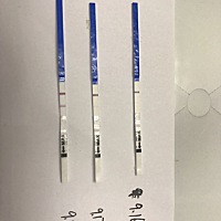 有经验的姐妹们，这试纸算不算强阳了，能安排同房吗？明天我老公还值班不在家，今天同房怀孕几率会大吗？