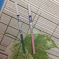 大家来看这是啥情况，8月22末次，今天18好，排卵这样，早孕白板？