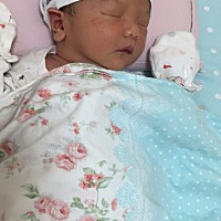 我前几天看到一位宝妈也在为宝宝脸上这样的痘痘发愁，我昨天带着宝宝去洗澡，别人给我推荐了“米茶膏”...