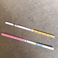 为什么排卵试纸一直是弱阳？来大姨妈测也是弱阳？中间没测过！有一样的么