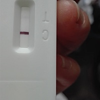 为什么我的那么淡淡！我8月28号9月11号排卵就同房的？