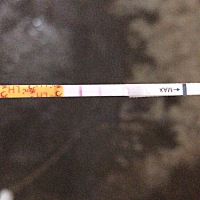 末次月经8.19来的，现在还没来，今天9.21了，测了排卵，是双杆，听别人说快来月经的时候，排卵是白板的...