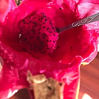 有没有人和我一样不吃水果没法过🙃️月子里硬是这个不能吃那个不能吃、吃个香蕉苹果都要在微波炉加热...