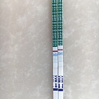 上月25号末次月经，今天测的这个，请各位看一下