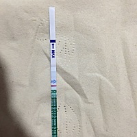 大家帮我看看 月经推迟第三天 刚测的会是怀了吗