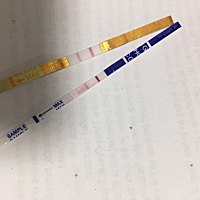 月经前三天测出来、是不是怀孕了…黄色的是排卵试纸蓝色的早孕试纸