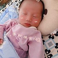 仔仔没奶吃怎么办