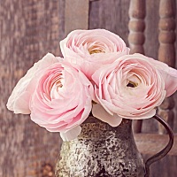 离婚之后，想要复婚，教你挽回婚姻的4个方法  越来越多的夫妻因各种原因而离婚，但分开一段时间后，一开...