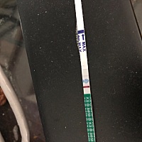 是不是怀孕了？求告知，急急急！