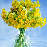 女人精神出轨，有多可怕？可以原谅吗？ 当一个女人精神出轨以后，她的心就不在这个家庭上了。婚姻生活中...