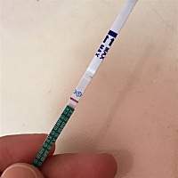 今天姨妈日，测的有点意念灰，宝贝们你们可以看到吗？