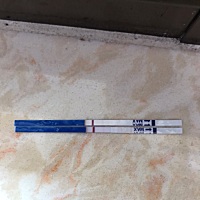 着急啊，这是怀了还是没怀？刚刚开始测连淡淡的一条都没有，过了五分钟就跑出一条淡淡的，前两天测的一...